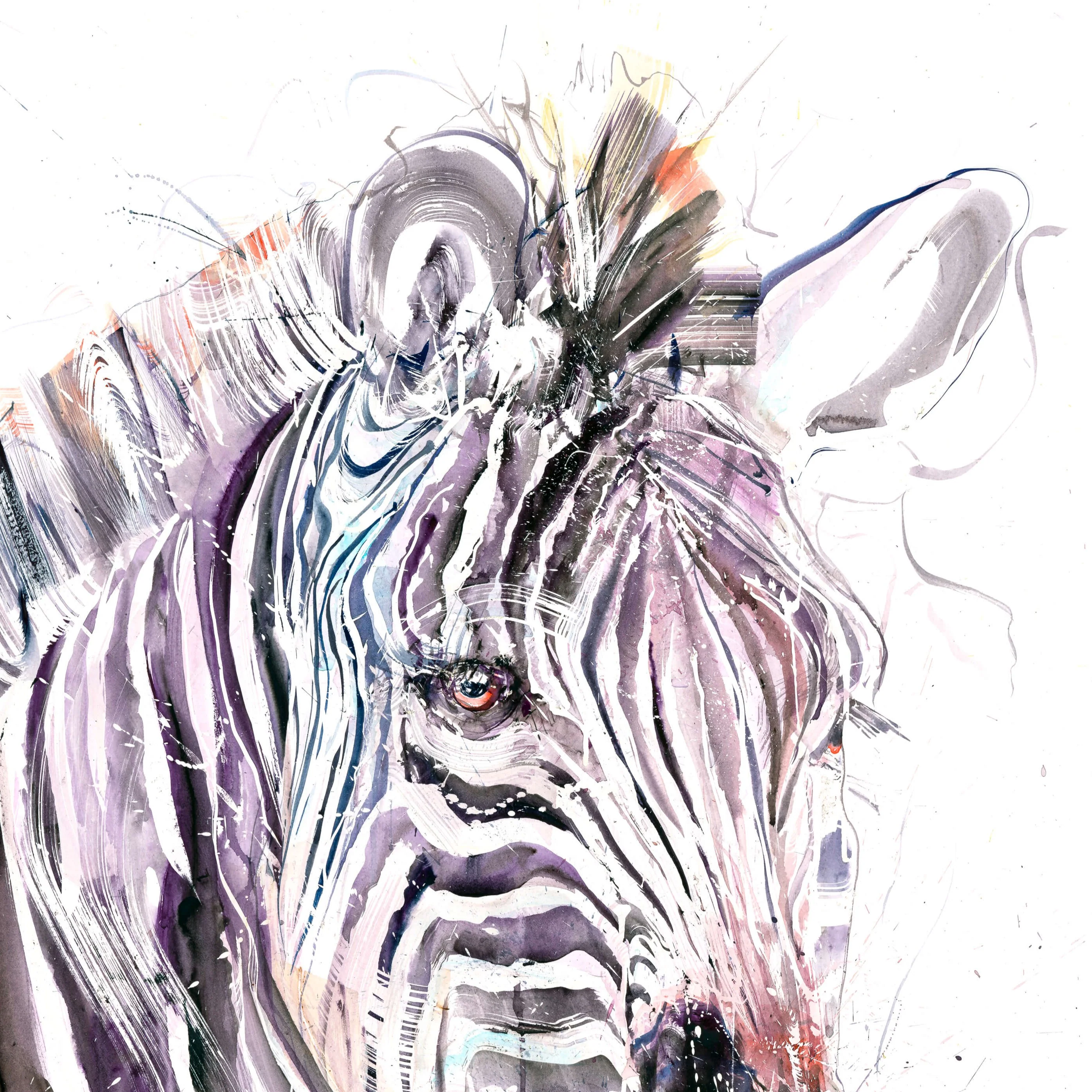 Grevy's Zebra I (Study) - Image 2