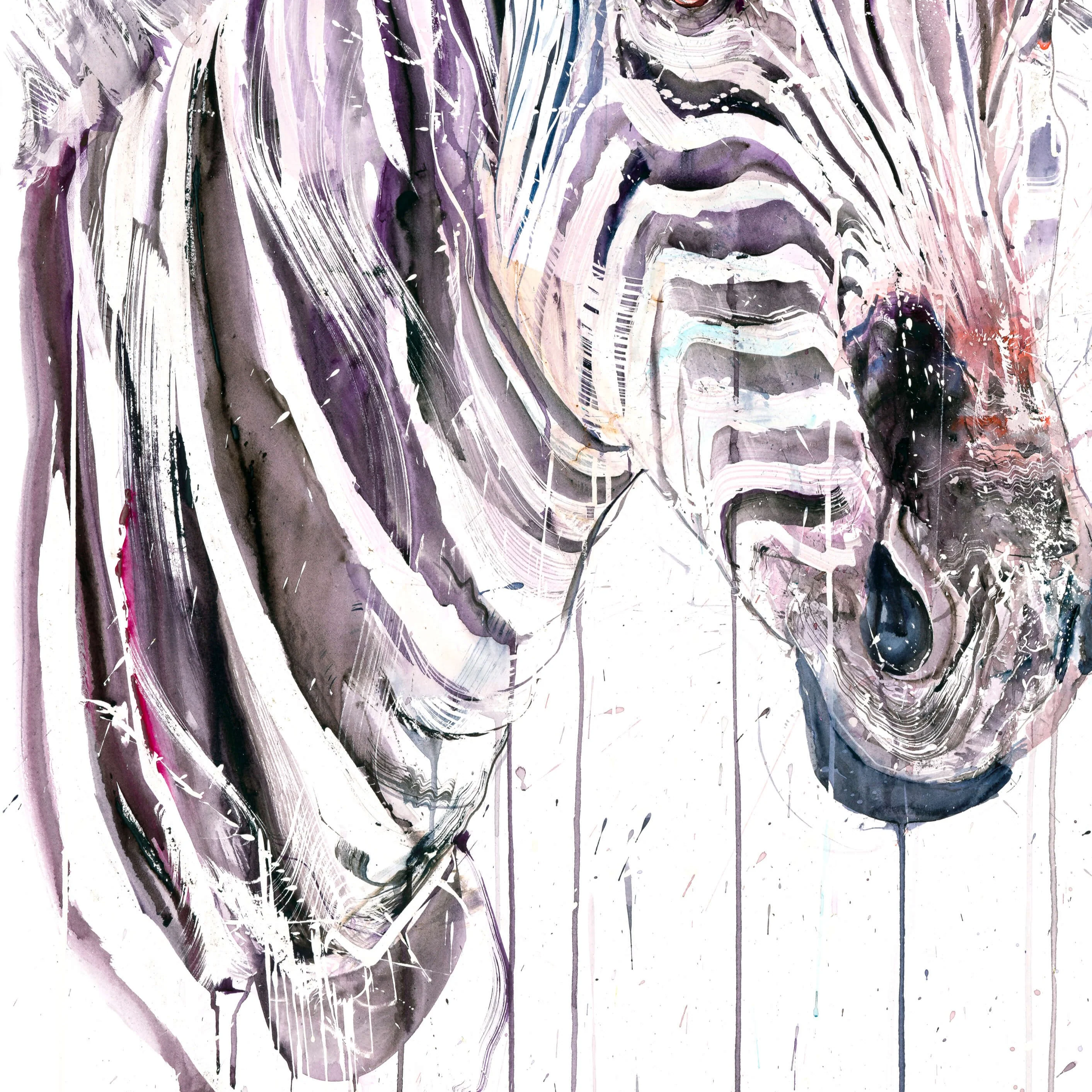 Grevy's Zebra I (Study) - Image 3