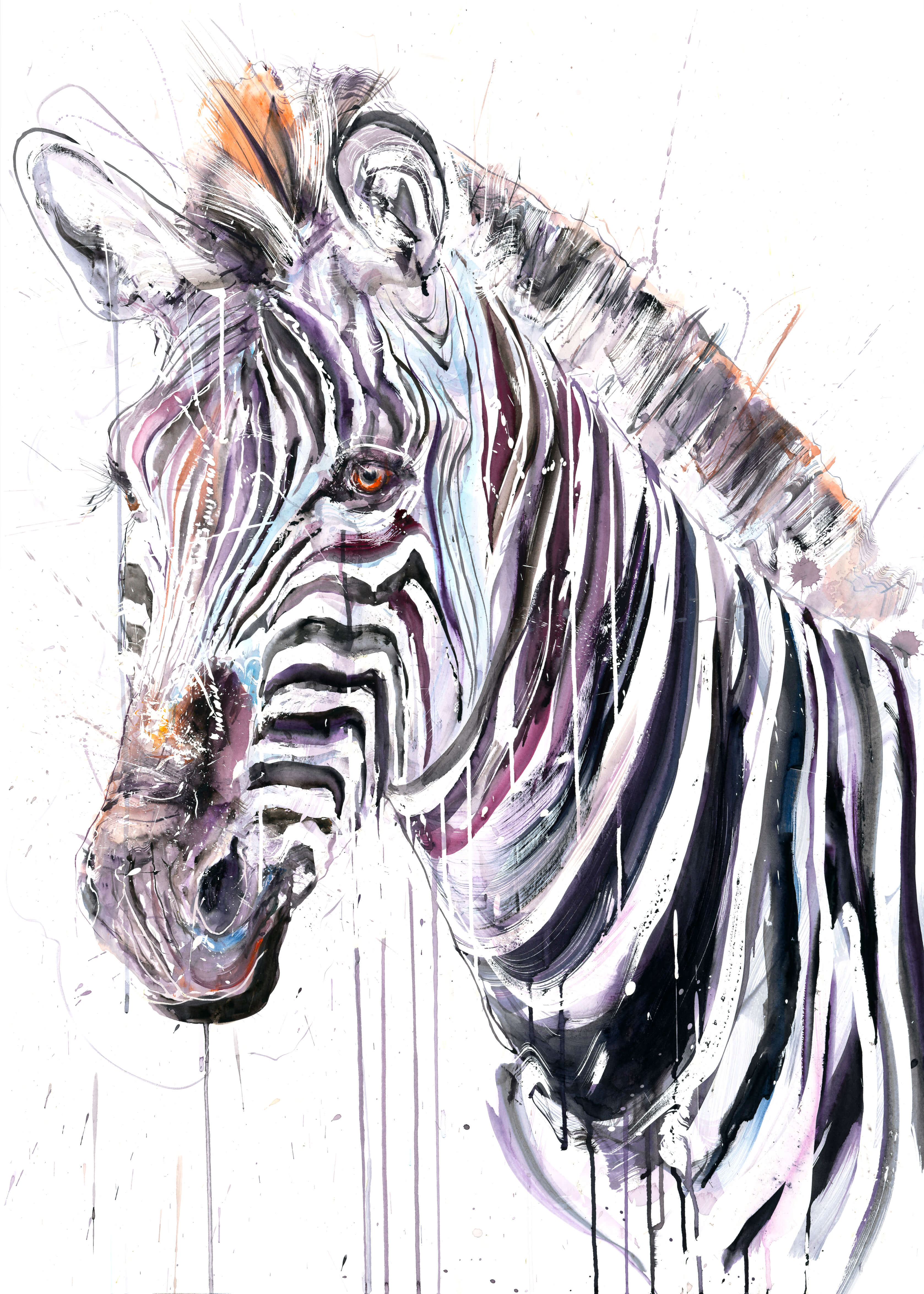 Grevy's Zebra II (Study)