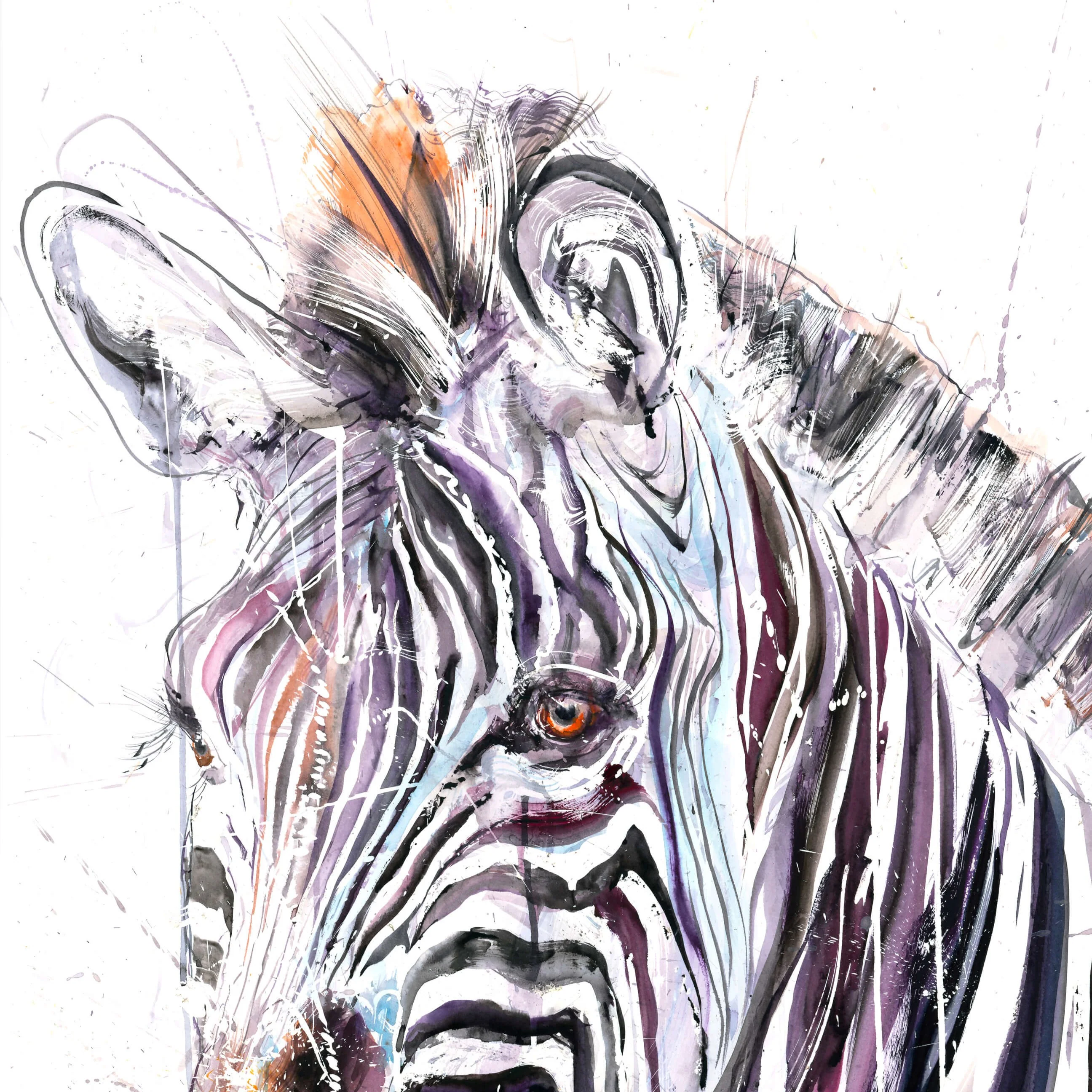 Grevy's Zebra II (Study) - Image 2