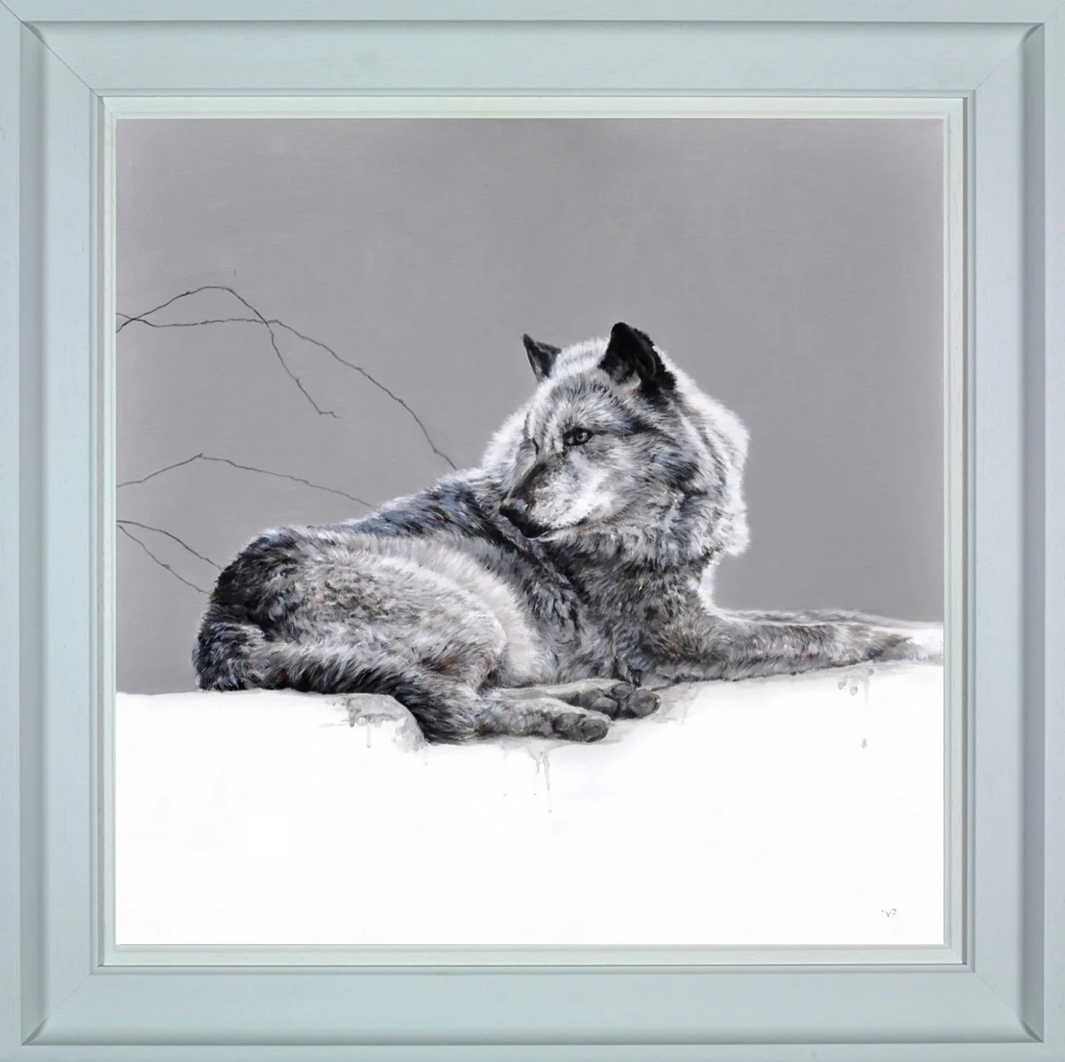 Grey Wolf