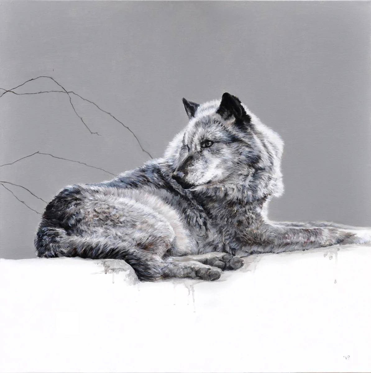 Grey Wolf - Image 2