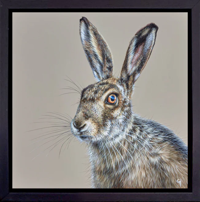 Hare
