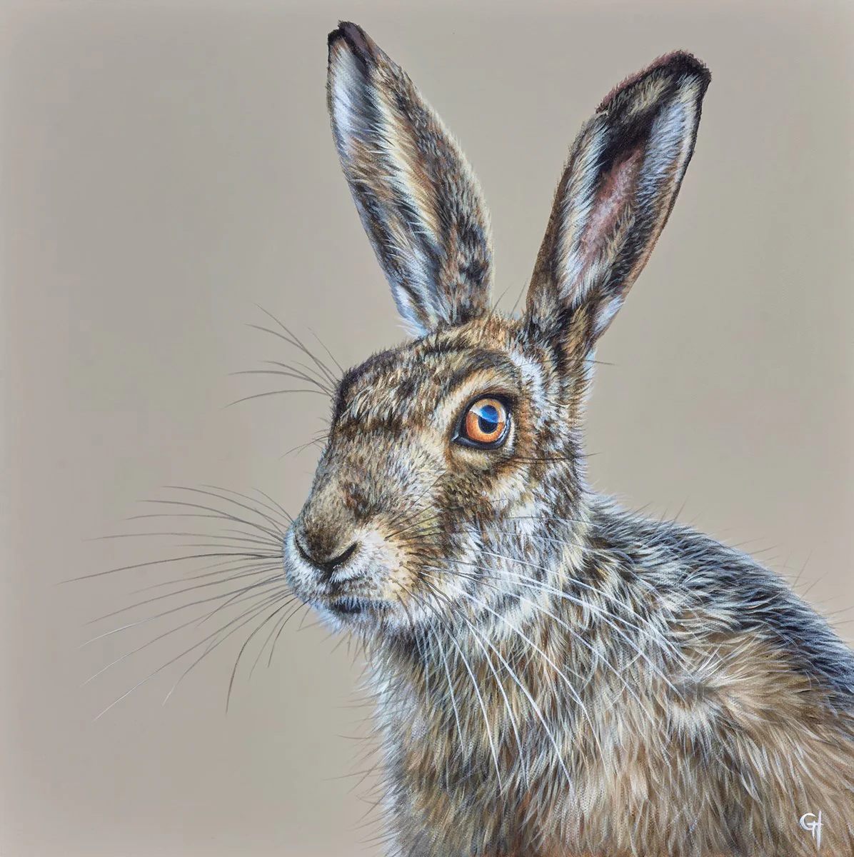 Hare - Image 3