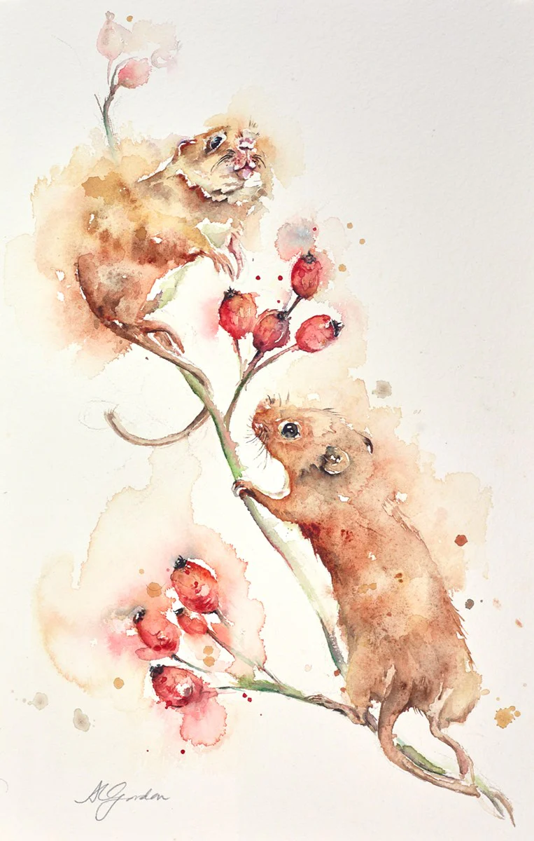 Harvesting Rosehips- Mice - Image 2