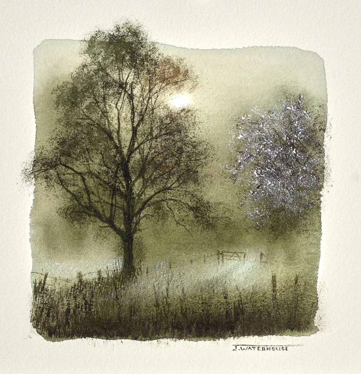 Hawthorn Blossom (Study) - Image 2