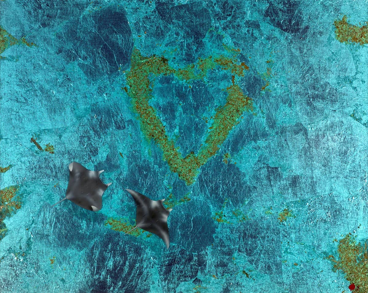 Heart Of The Reef - Image 2