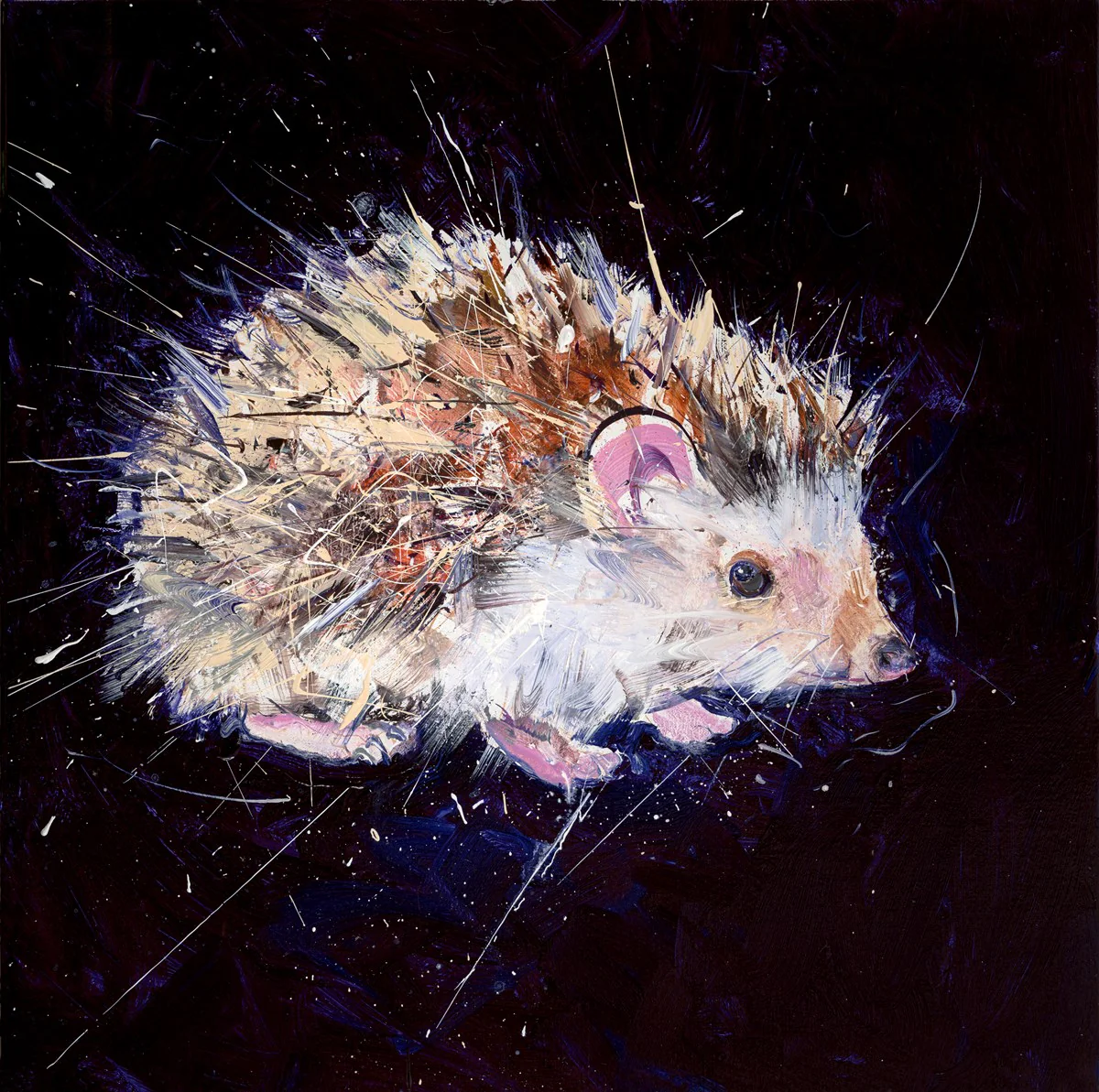 Hedgehog - Image 3