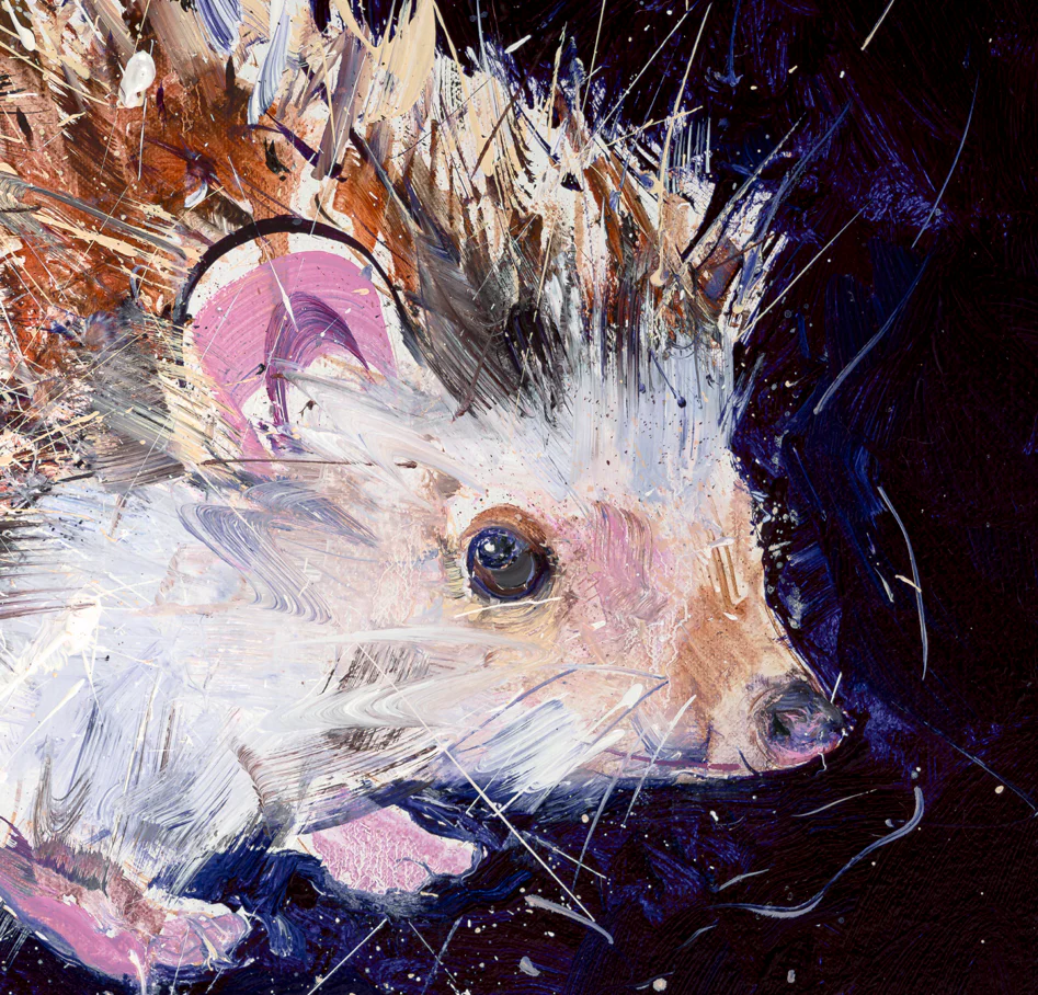 Hedgehog - Image 4