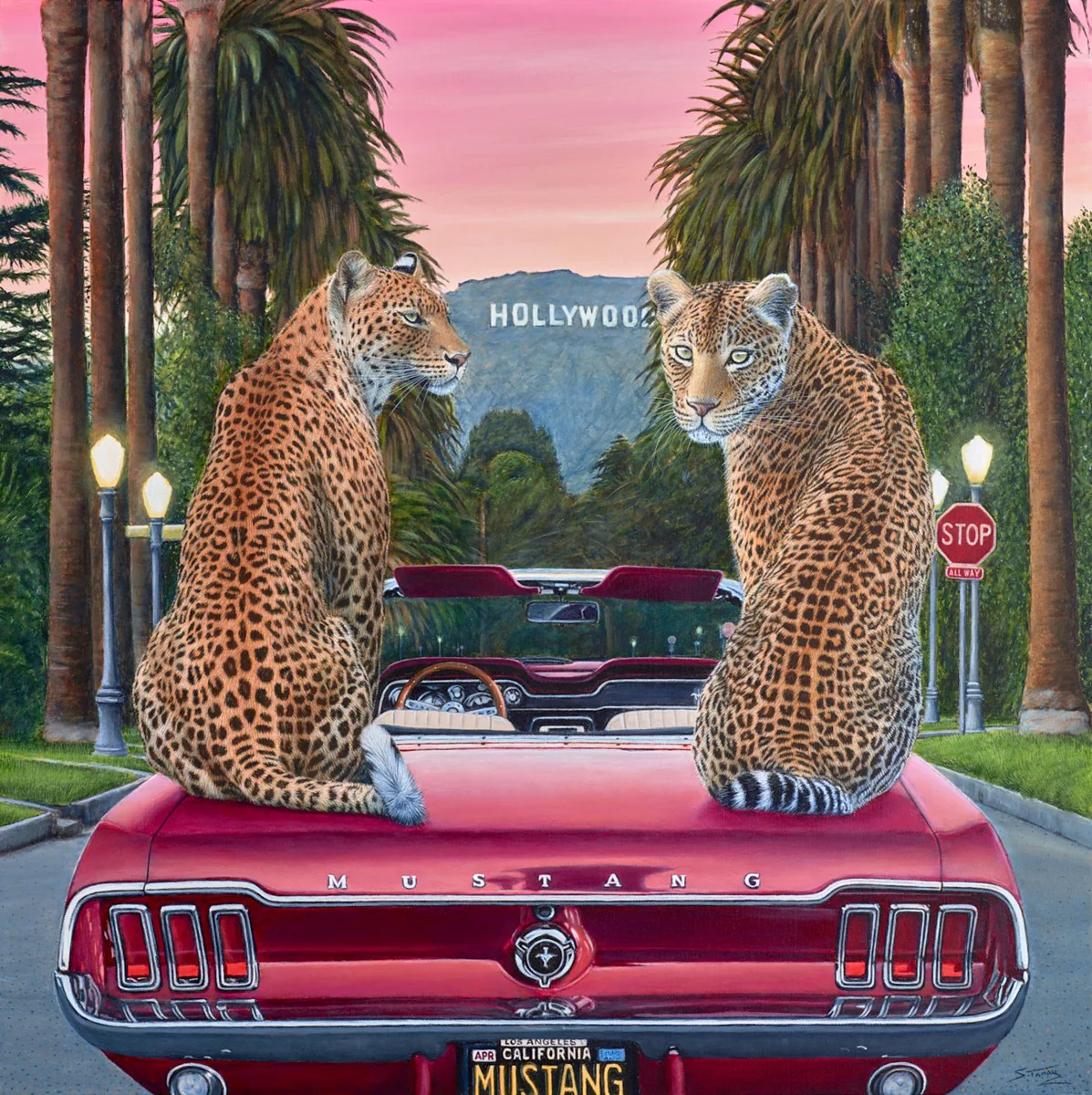 Hollywood Sunset - Image 2