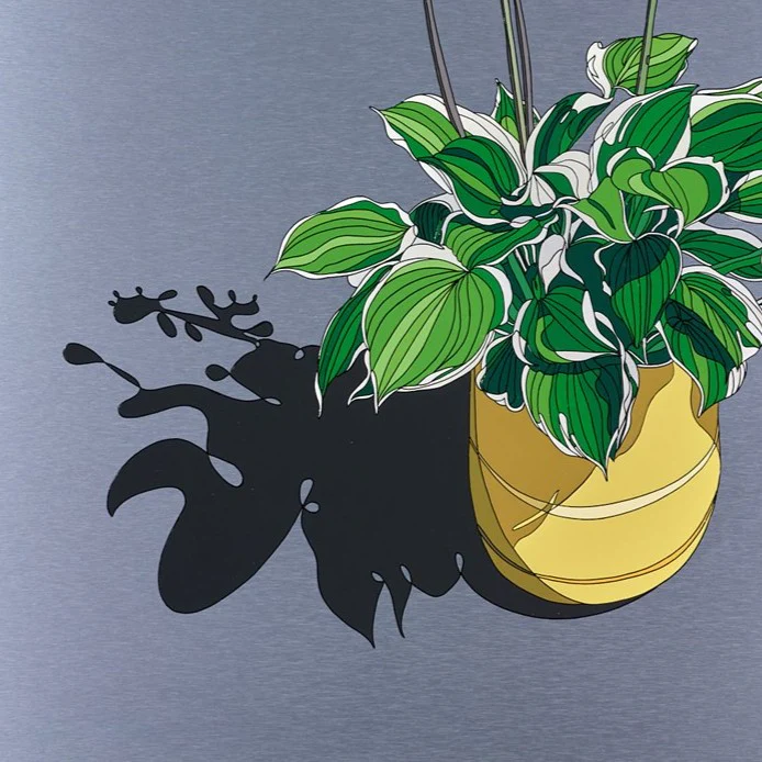 Hosta - Image 2