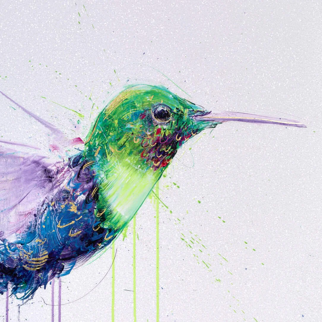 Hummingbird I (Deluxe Collector's Edition) - Image 4