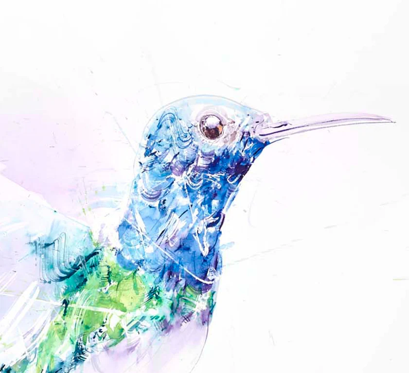 Hummingbird V - Image 4