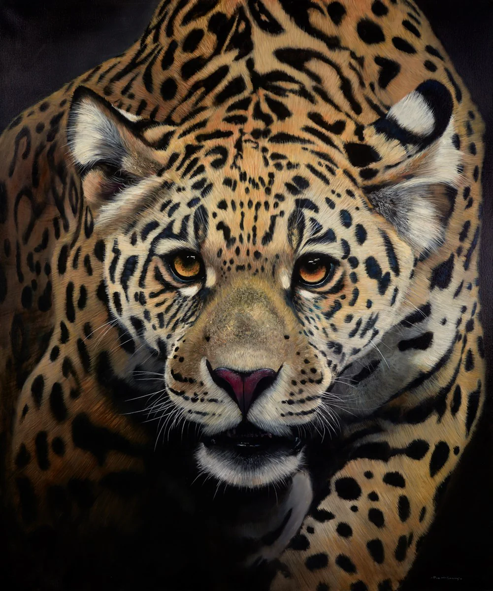 JAGUAR - Image 2
