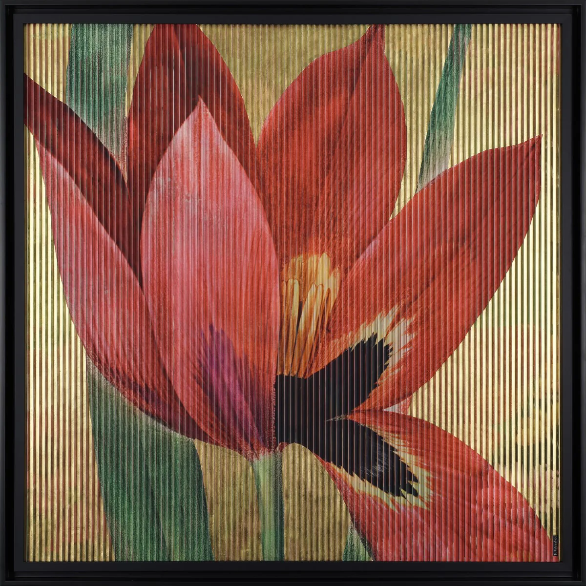 In Bloom