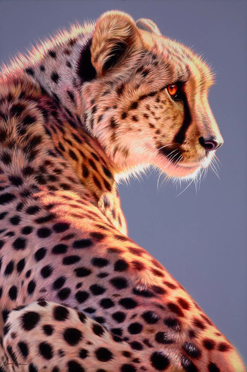 In The Limelight - Image 2