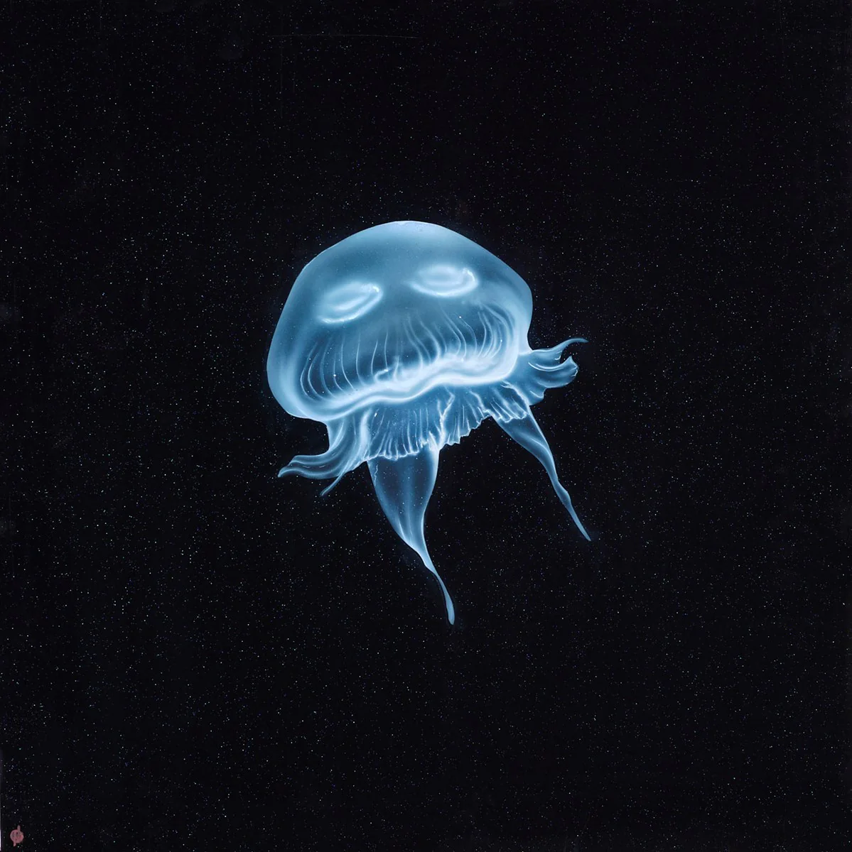 Jelly Galaxy - Image 2