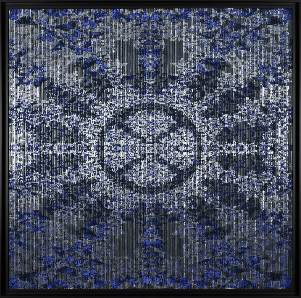 Kaleidoscope Of Wings