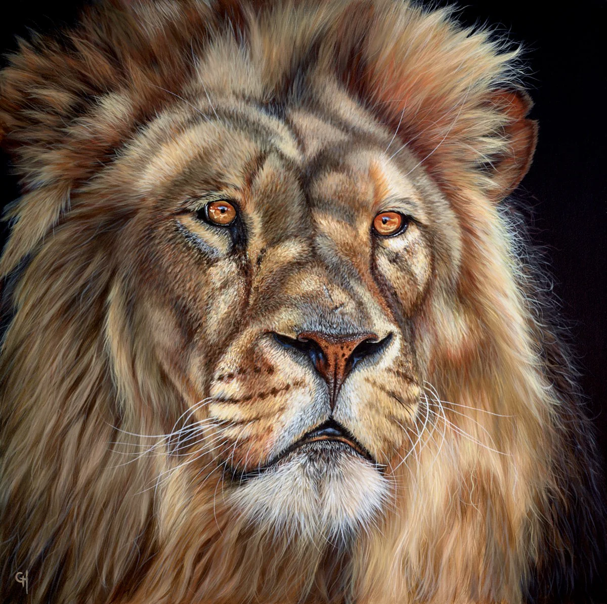 King Of The Jungle V
