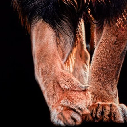 King Walk - Image 4
