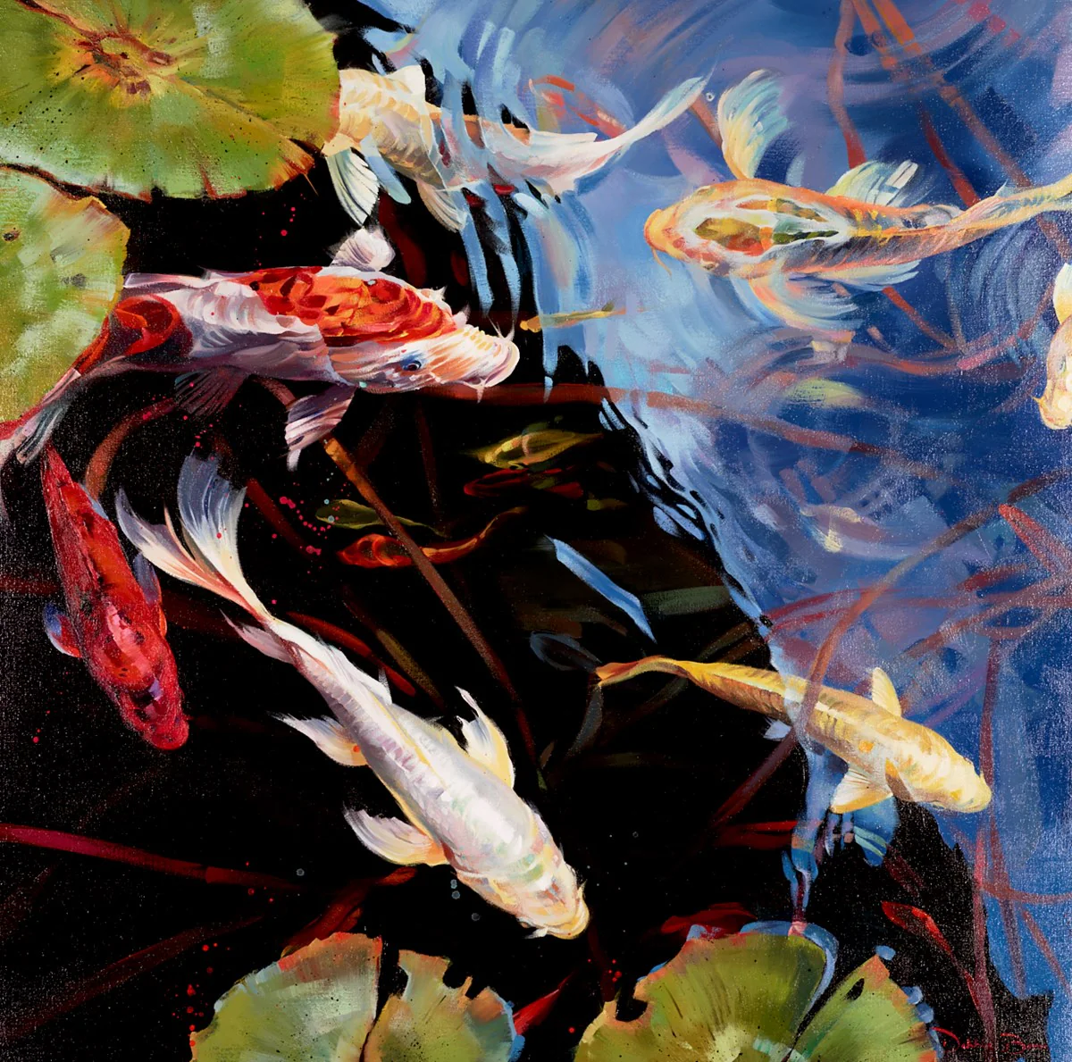 Koi Reflections - Image 2