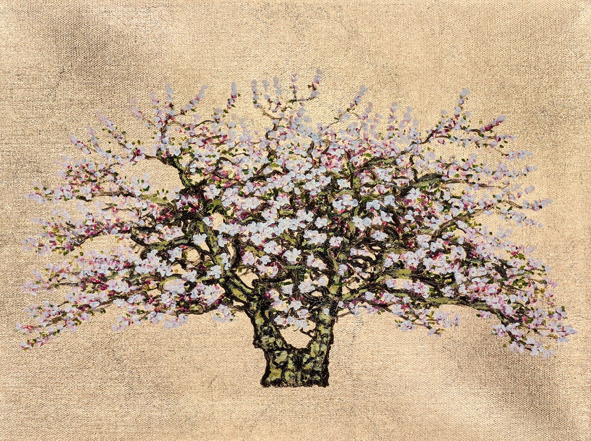 Lavinia - Image 2