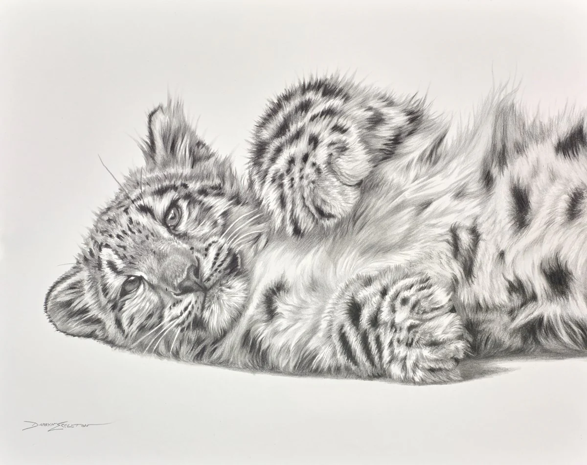 Lazy Afternoon