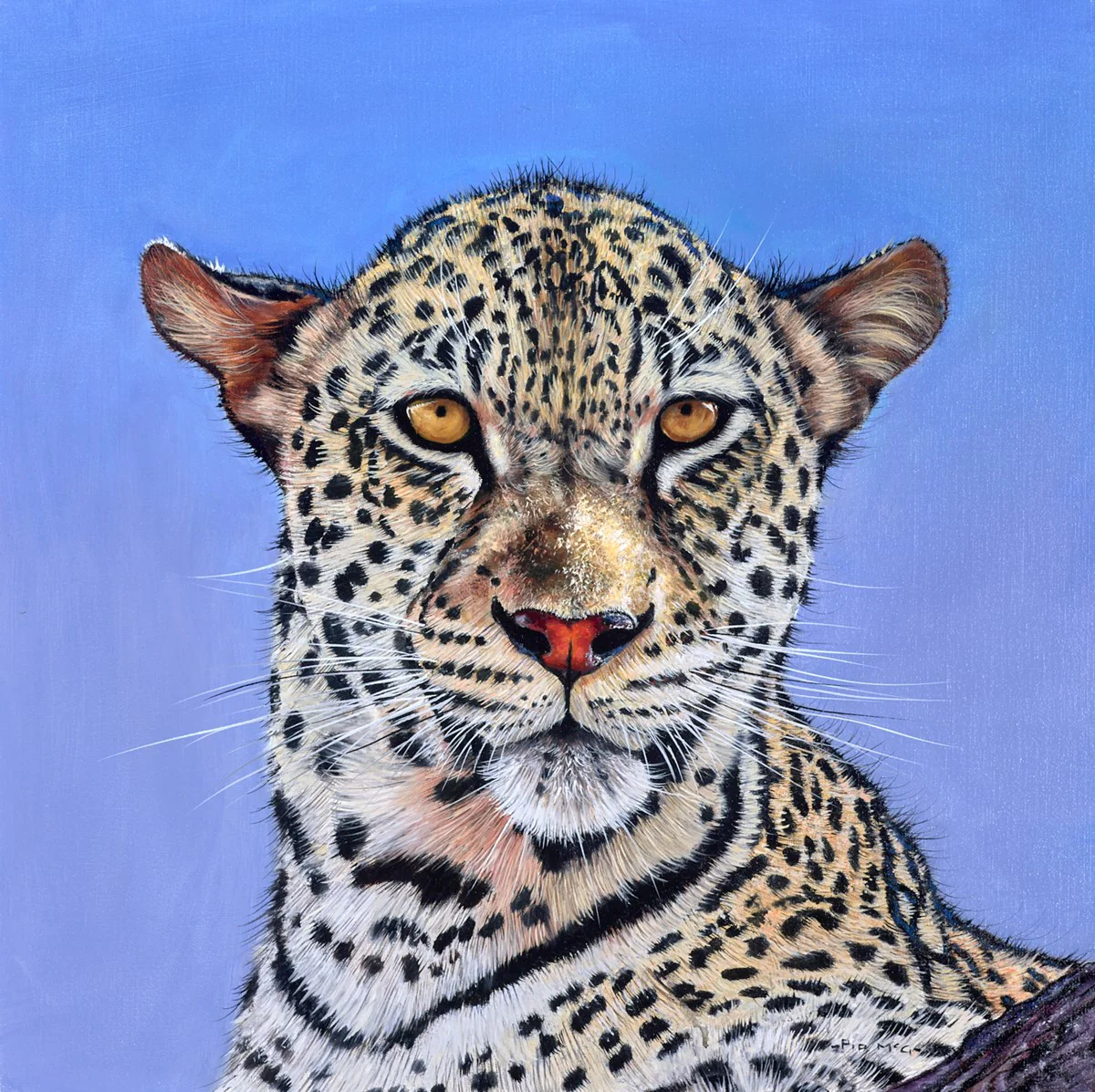 Leopard Portrait - Image 2