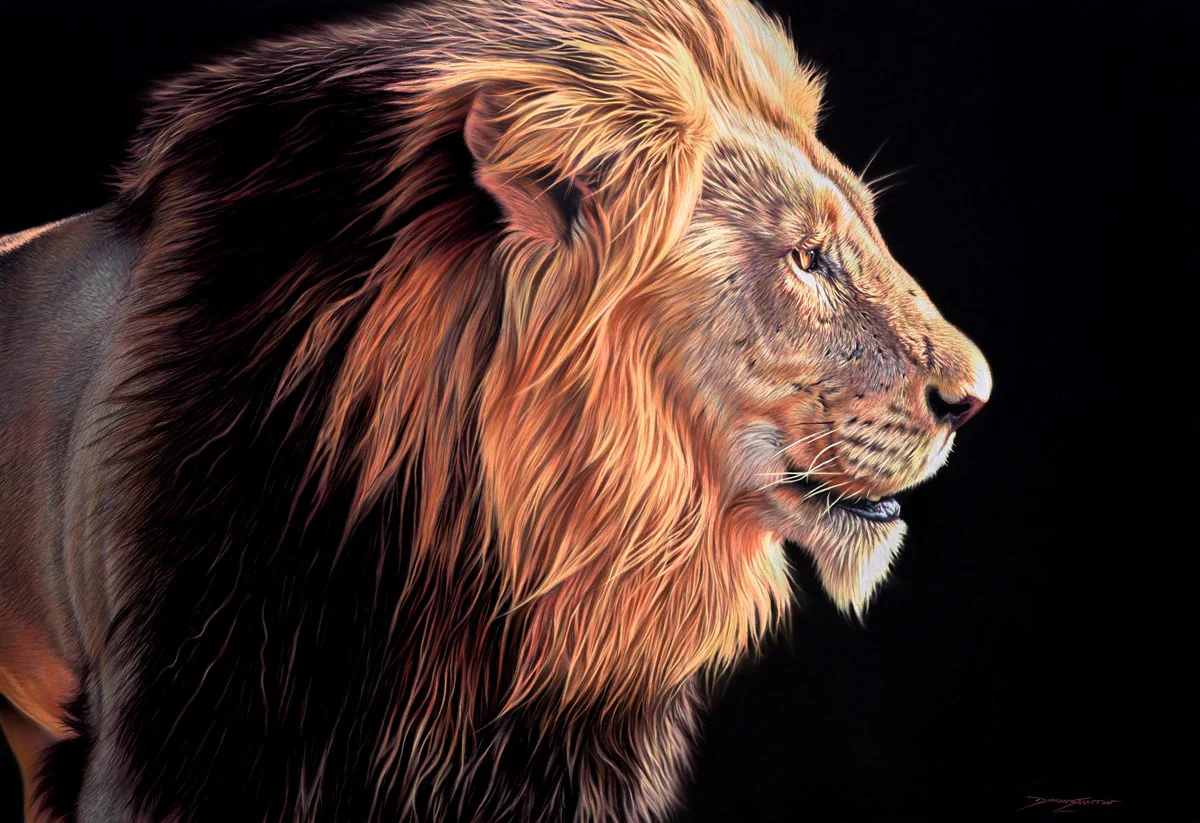 Lion - Image 2