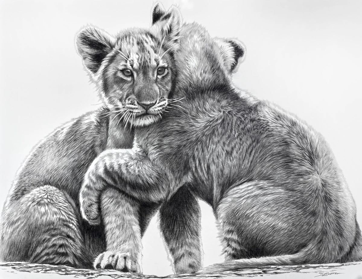 Lion Cubs