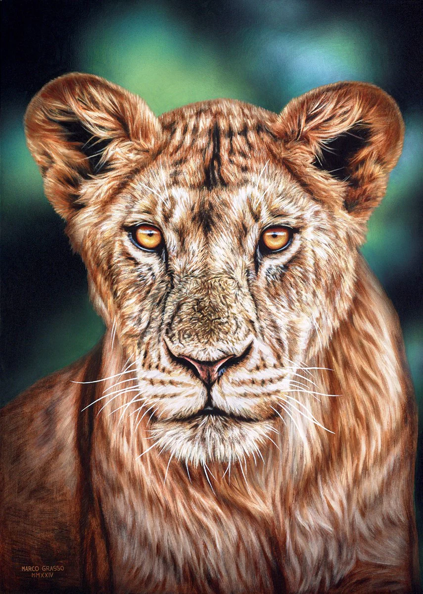 Lioness