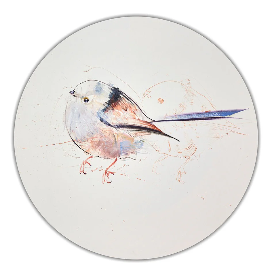 Long Tailed Tit II