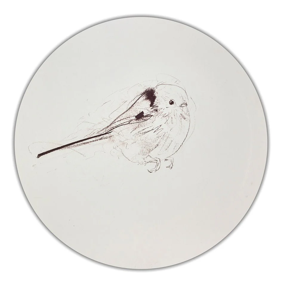 Long Tailed Tit Sketch II