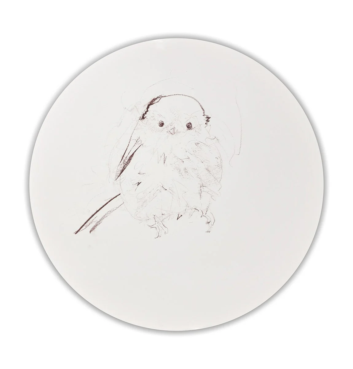 Long Tailed Tit Sketch IV