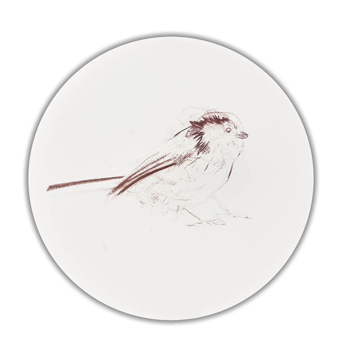 Long Tailed Tit Sketch VI