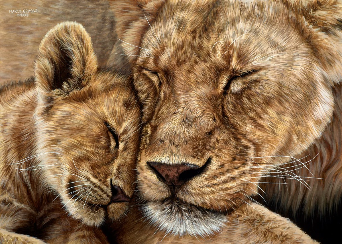 Love And Affection
