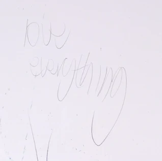 Love Everything - Image 4