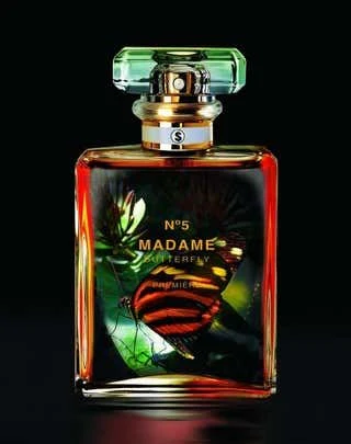 Madame Butterfly - Image 2