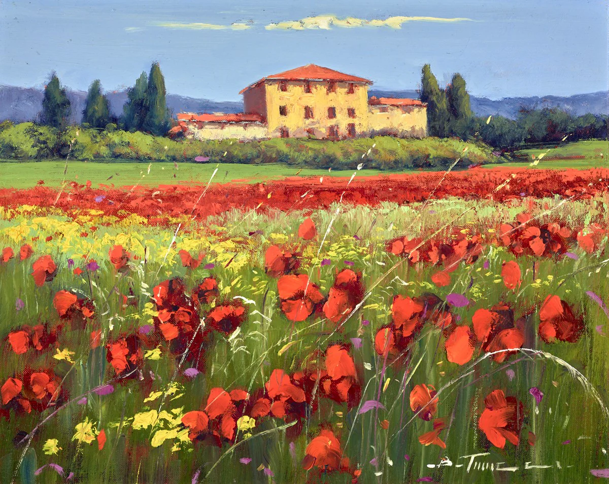 Mare Di Fiori Di Campo