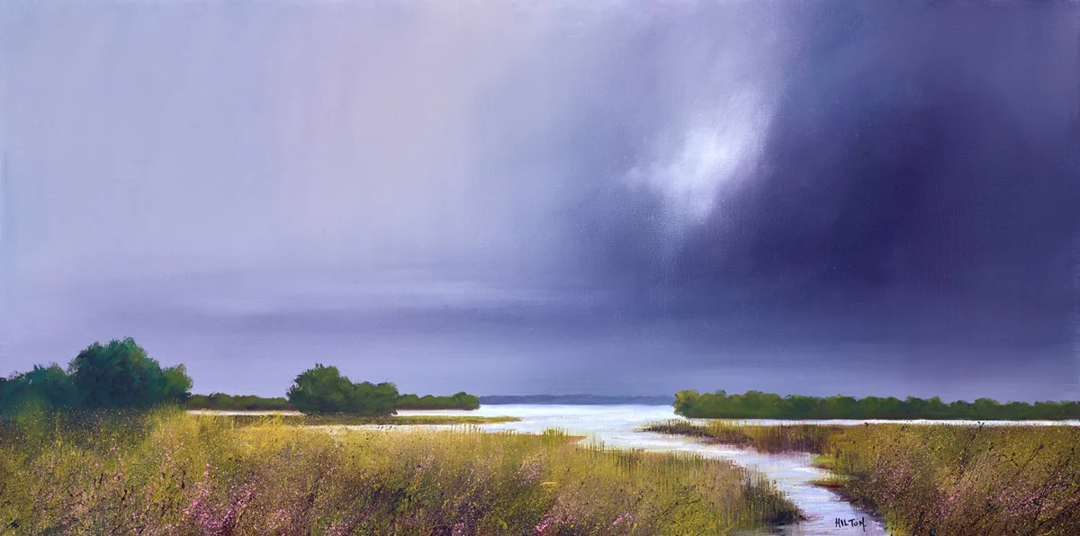Marshes Under The Cloud