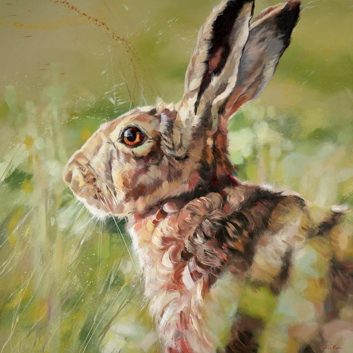 Meadow - Image 2