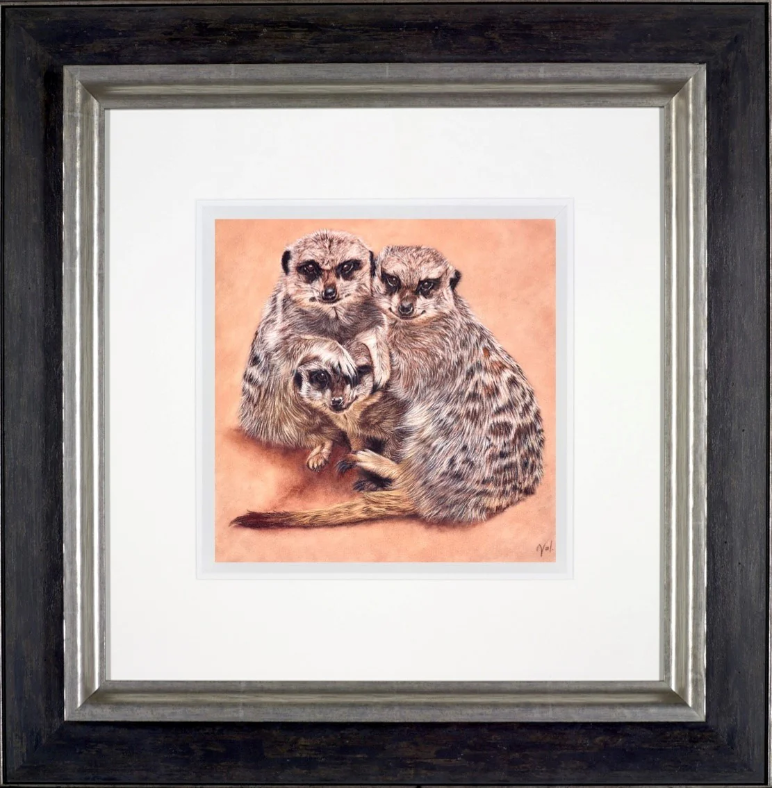 Meerkat Family Portrait