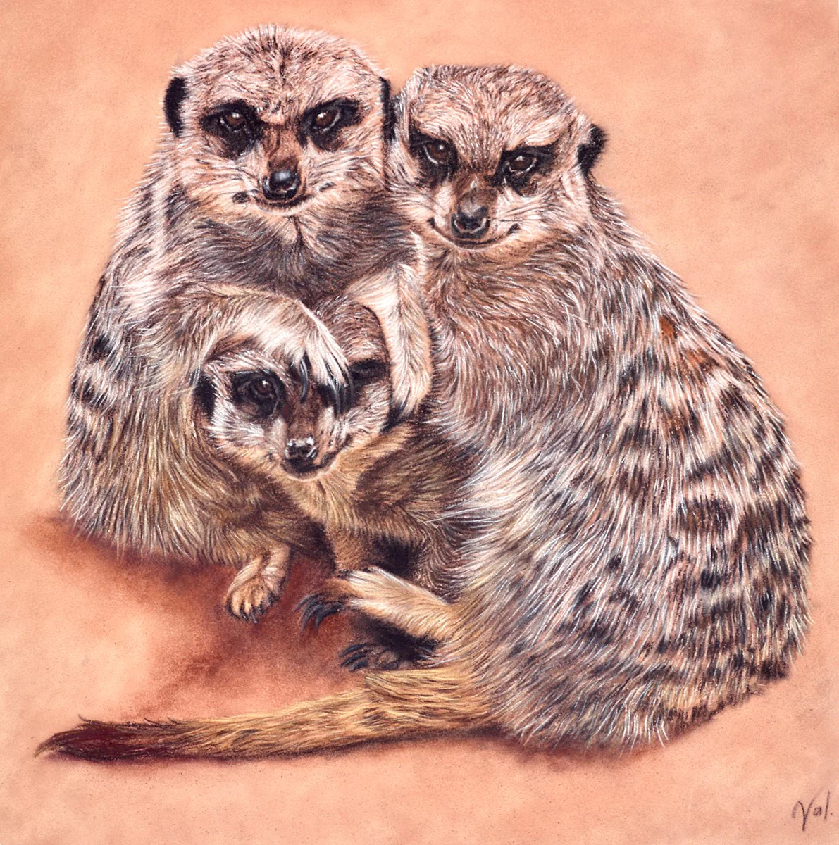 Meerkat Family Portrait - Image 2