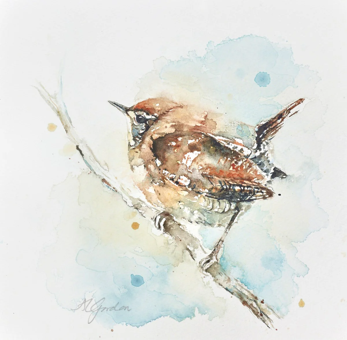 Mini Wren