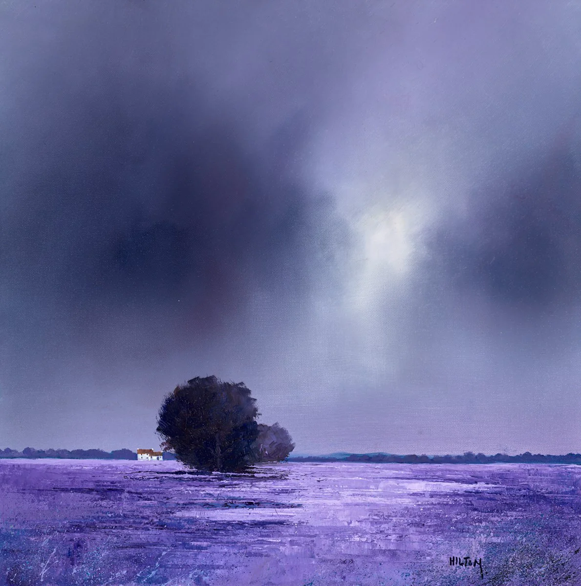 Moods Of Lavender