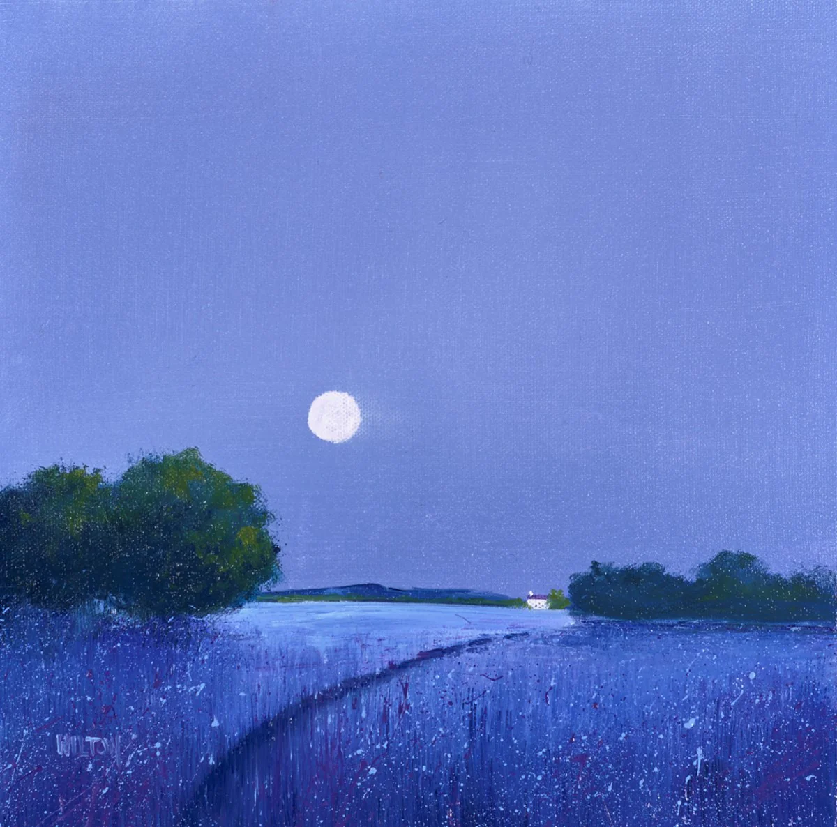 Moon Glow