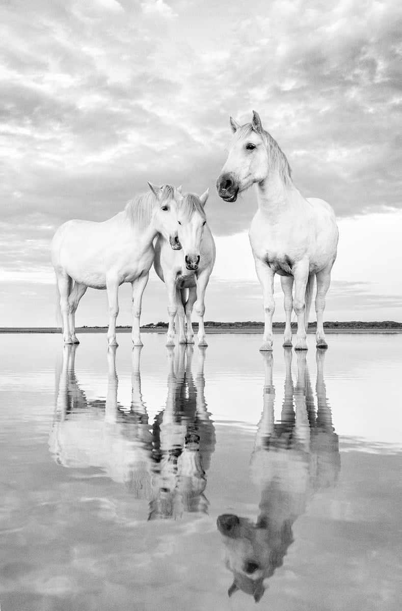 Morning Reflections - Image 2