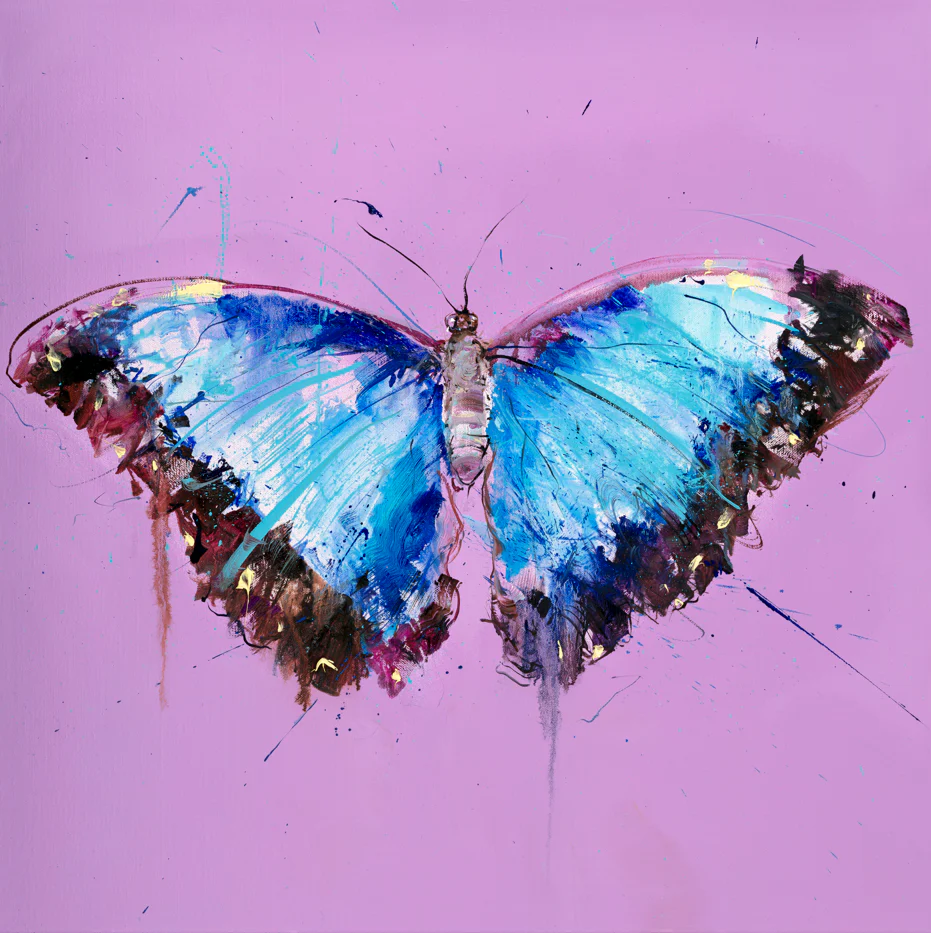Morpho Butterfly - Image 2