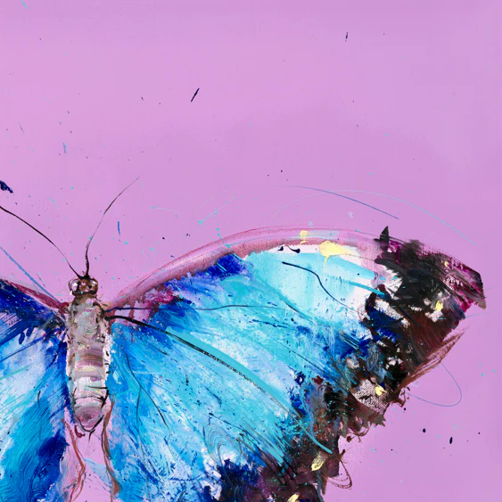Morpho Butterfly - Image 3