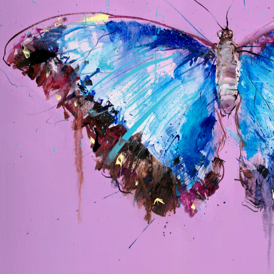 Morpho Butterfly - Image 4